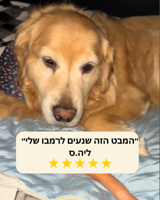 שמיכה מקררת לכלבים מבית LYVORA