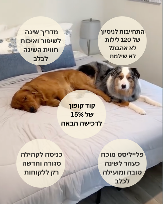 שמיכה מקררת לכלבים מבית LYVORA